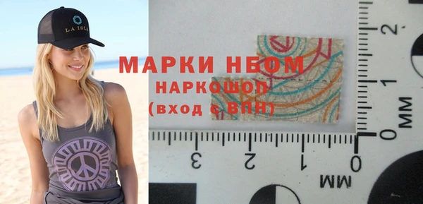 прущие грибы Бородино