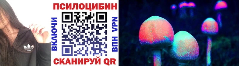 площадка клад  Челябинск  Галлюциногенные грибы Magic Shrooms  где можно купить  